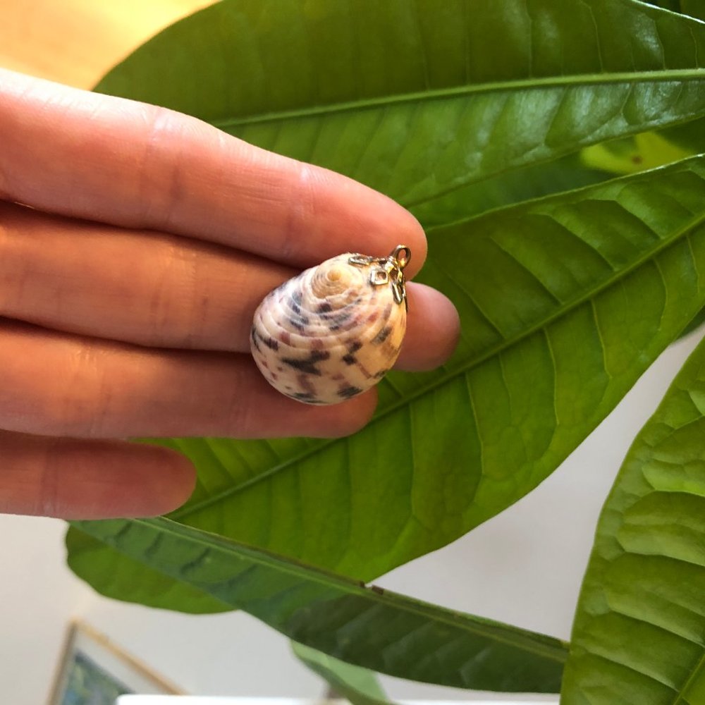 Seashell Pendant Necklace with Gold Fascinator